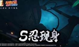 最新忍法帖忍者技能爆料,揭秘最新忍者技能，神秘力量即将揭晓！