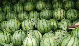 蔚县吃瓜事件最新爆料,最新爆料揭示惊人内幕